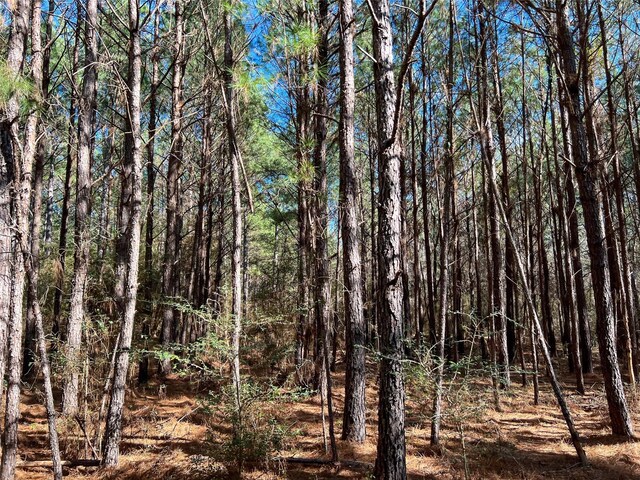 0000 Union Springs Rd, Corrigan, TX 75939