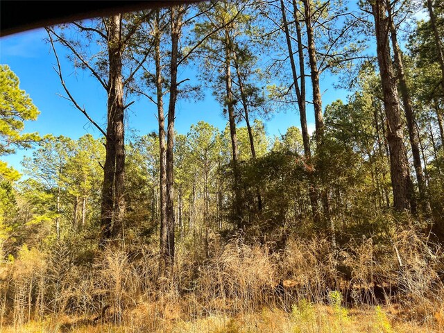 0000 Union Springs Rd, Corrigan, TX 75939