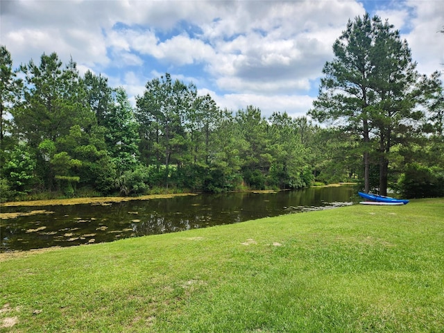 11409 E Zoe Loop Dr, Montgomery, TX 77316 - view of green lawn featuring a water view and a view of trees