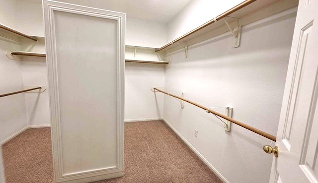 walk in closet with light carpet