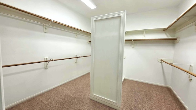 spacious closet featuring carpet floors