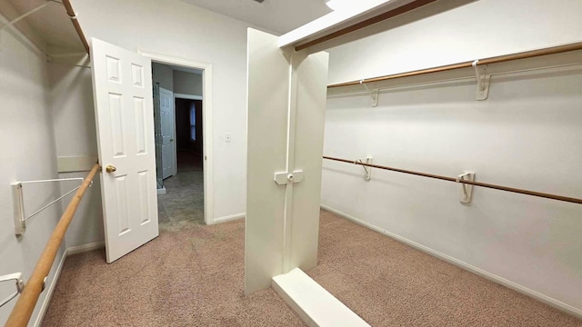 spacious closet with carpet