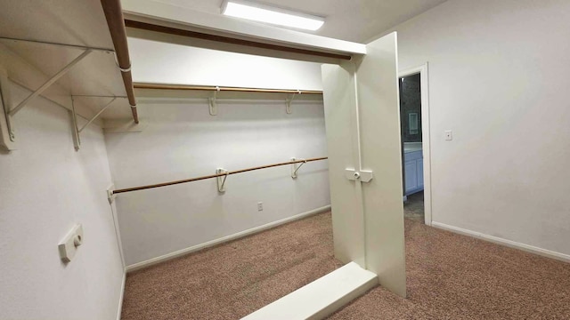 spacious closet featuring carpet floors