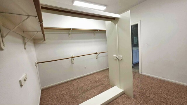 8931 Pine Shores Dr, Humble, TX 77346 - spacious closet featuring carpet flooring
