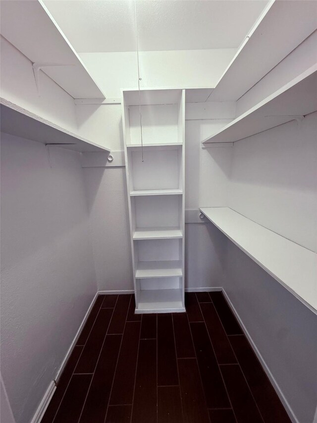 8818 Fern Valley Dr, Houston, TX 77044 - view of walk in closet