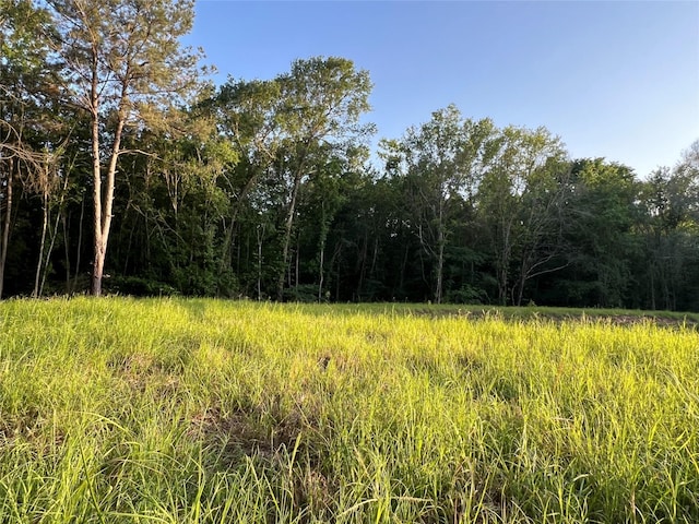 23017 Bailey Grove Rd, Montgomery, TX 77356