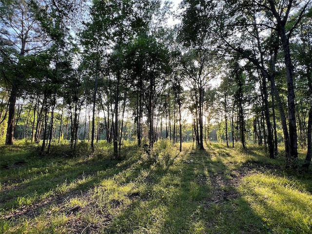 23017 Bailey Grove Rd, Montgomery, TX 77356