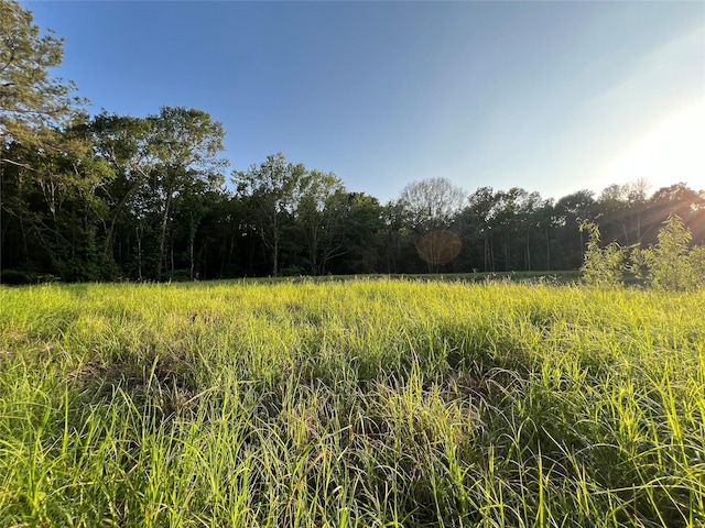 23017 Bailey Grove Rd, Montgomery, TX 77356