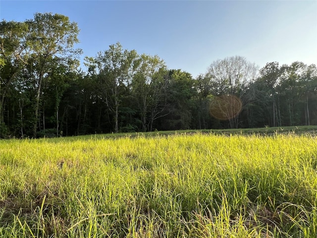 23017 Bailey Grove Rd, Montgomery, TX 77356