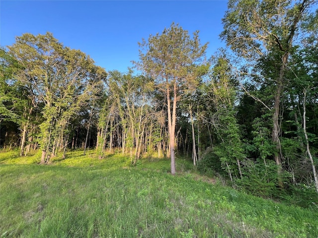 23017 Bailey Grove Rd, Montgomery, TX 77356