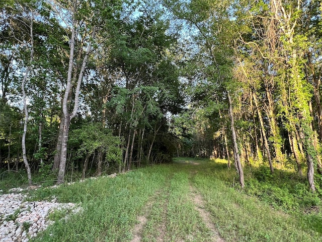 23017 Bailey Grove Rd, Montgomery, TX 77356