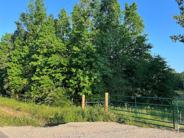 23017 Bailey Grove Rd, Montgomery, TX 77356