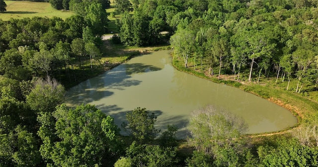 23017 Bailey Grove Rd, Montgomery, TX 77356