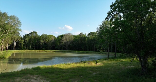 23017 Bailey Grove Rd, Montgomery, TX 77356