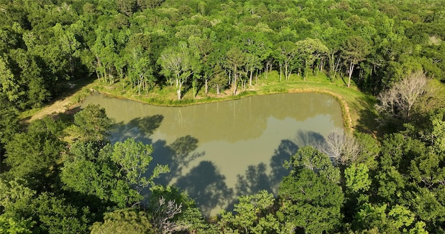 23017 Bailey Grove Rd, Montgomery, TX 77356