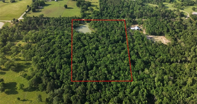 23017 Bailey Grove Rd, Montgomery, TX 77356