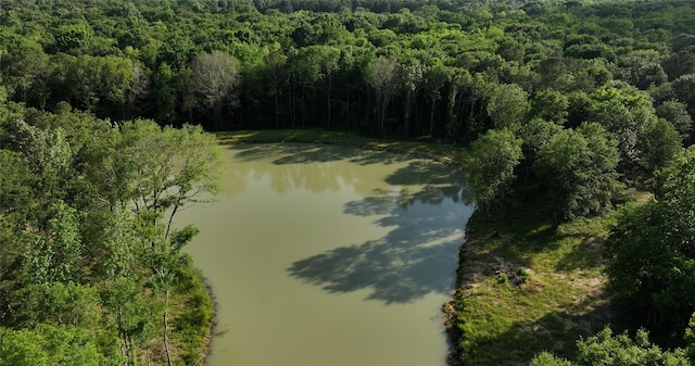23017 Bailey Grove Rd, Montgomery, TX 77356