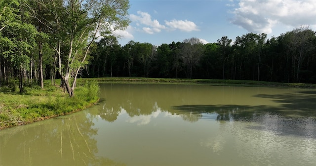 23017 Bailey Grove Rd, Montgomery, TX 77356