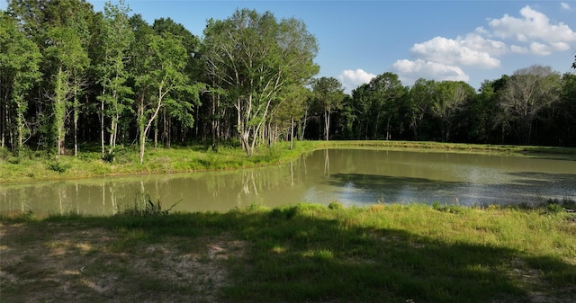 23017 Bailey Grove Rd, Montgomery, TX 77356