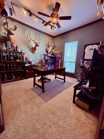office space with ceiling fan, carpet floors, and ornamental molding