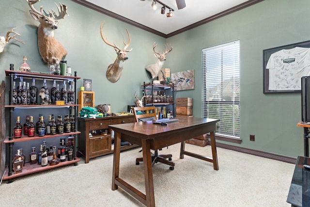 101 Sir Cameron, Lumberton, TX 77657 - home office featuring ornamental molding and carpet