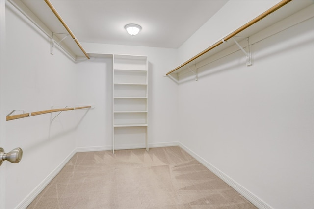 spacious closet featuring carpet flooring