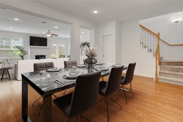 dining room featuring light wood-type flooring, a ceiling fan, stairs, and ornamental molding