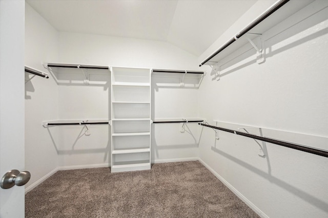 walk in closet featuring vaulted ceiling and carpet