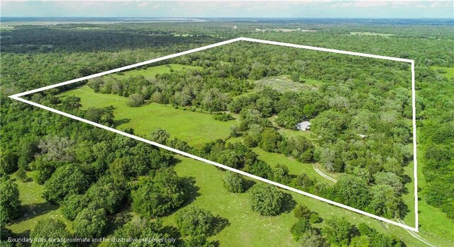 12200 Winn Rd, Franklin, TX 77856 - photo 22