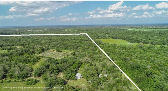 12200 Winn Rd, Franklin, TX 77856 - photo 24