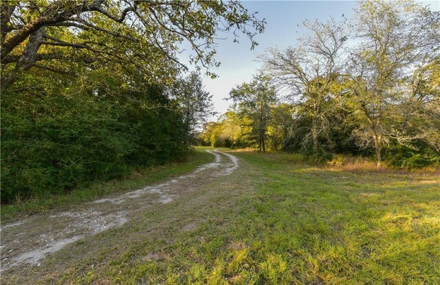 12200 Winn Rd, Franklin, TX 77856 - photo 27