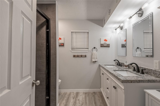 full bathroom featuring double vanity, wood finished floors, and a sink