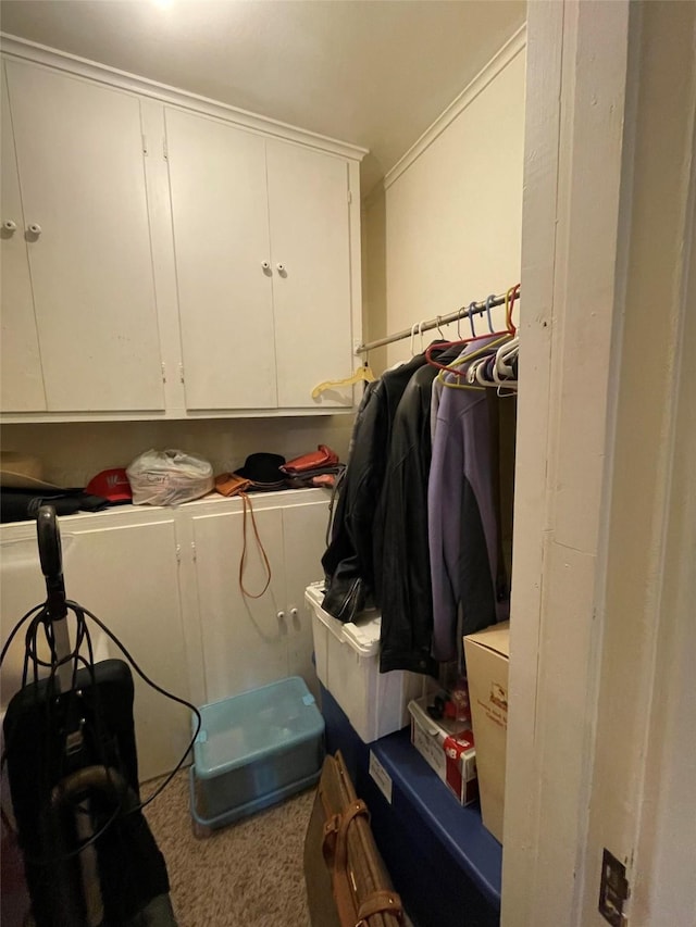 laundry room featuring carpet