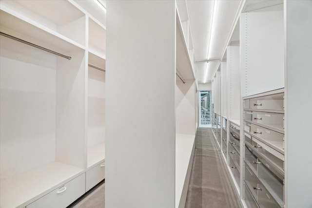view of walk in closet