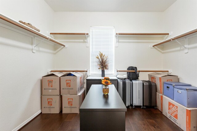 3902 Lakeridge Canyon Dr, Sugar Land, TX 77498 - spacious closet with hardwood / wood-style floors