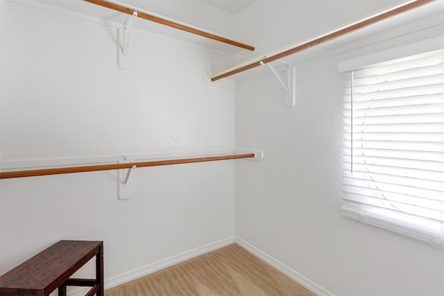 3902 Lakeridge Canyon Dr, Sugar Land, TX 77498 - walk in closet featuring light carpet