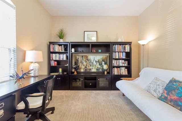 3902 Lakeridge Canyon Dr, Sugar Land, TX 77498 - view of office area