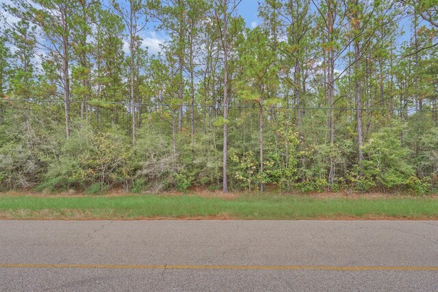 0000 E Williams Rd, Conroe, TX 77303 - photo 5