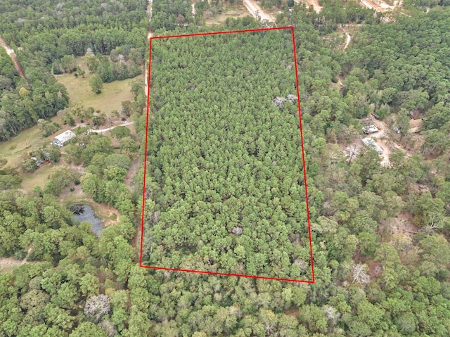 0000 E Williams Rd, Conroe, TX 77303 - photo 12