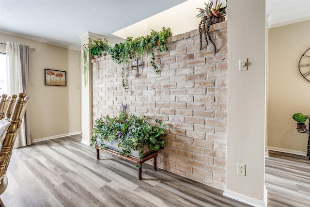 interior space with baseboards, wood finished floors, and crown molding