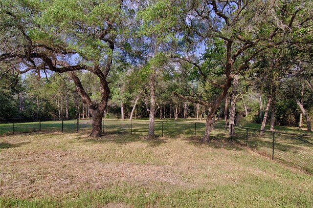 250 Bucek Ln, Schulenburg, TX 78956 - view of yard with fence