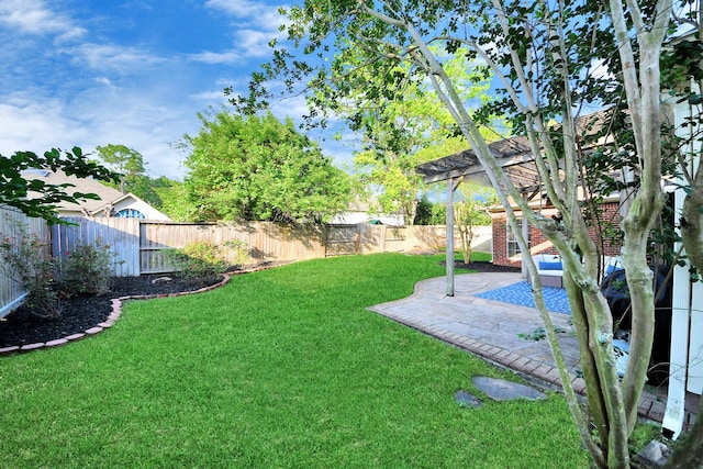14019 Ivy Bluff Ct, Houston, TX 77062 - view of yard with a fenced backyard and a patio area