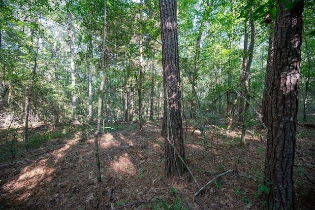 tbd C R 3000, Woodville, TX 75979 - photo 2