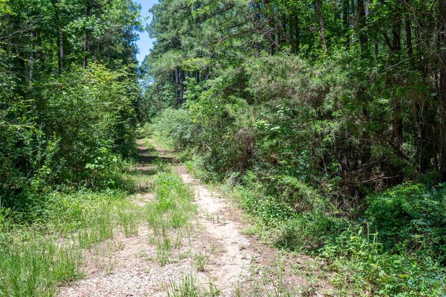 tbd C R 3000, Woodville, TX 75979 - photo 3