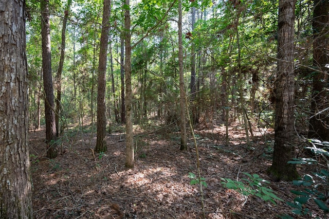 tbd C R 3000, Woodville, TX 75979 - photo 4