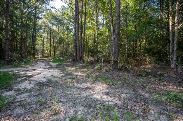 tbd C R 3000, Woodville, TX 75979 - photo 5