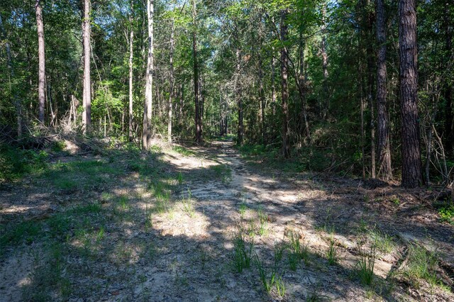 tbd C R 3000, Woodville, TX 75979 - photo 6