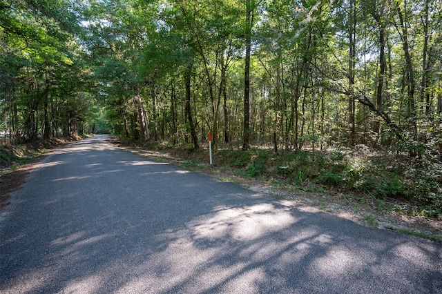 tbd C R 3000, Woodville, TX 75979 - photo 11