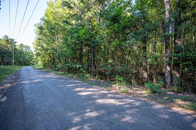 tbd C R 3000, Woodville, TX 75979 - photo 13