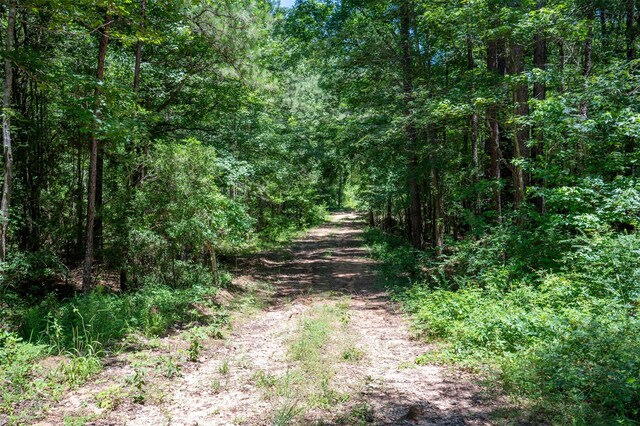 tbd C R 3000, Woodville, TX 75979 - photo 7